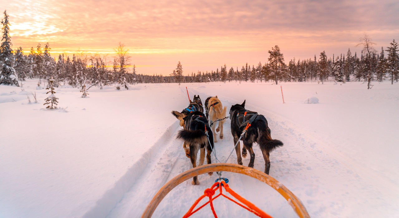 Thumbnail voor TUI: Wintersport in Finland beleef je op een hele andere manier