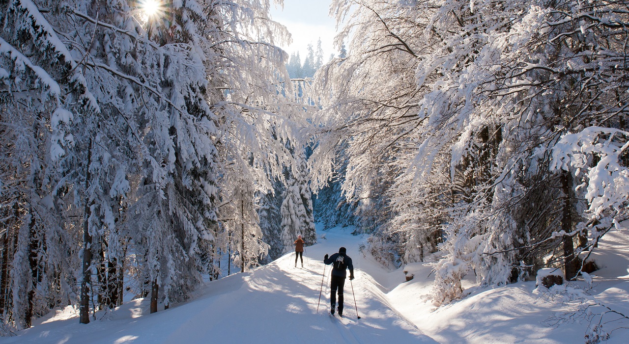 Thumbnail voor 8 Feitjes over de beste winterplekken van Tsjechië