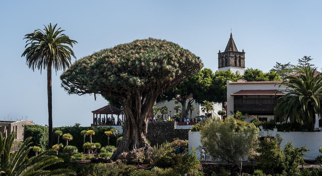 Thumbnail voor 4x historische plaatsen in het noorden van Tenerife