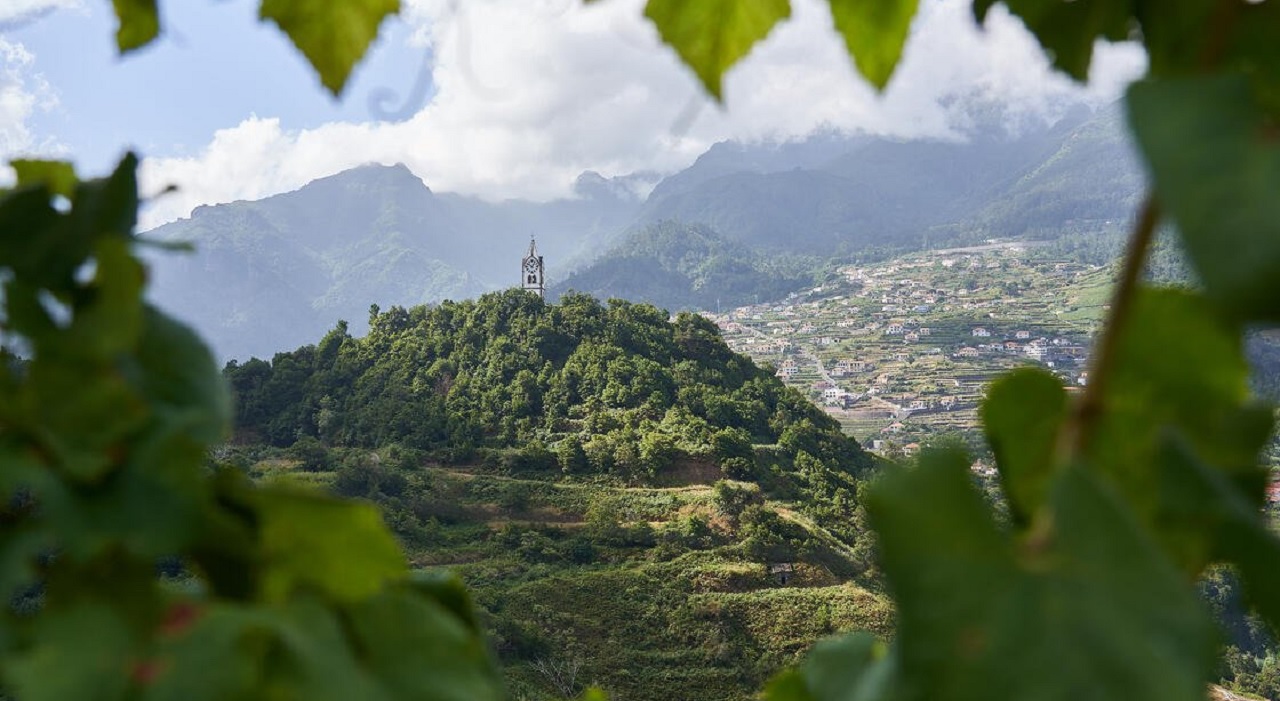 Thumbnail voor Het Madeira Wijnfestival: een absolute must voor de wijnliefhebber
