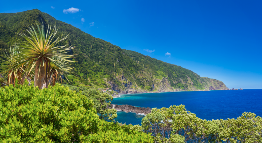 Thumbnail voor Madeira herkozen tot ‘s werelds beste eilandbestemming