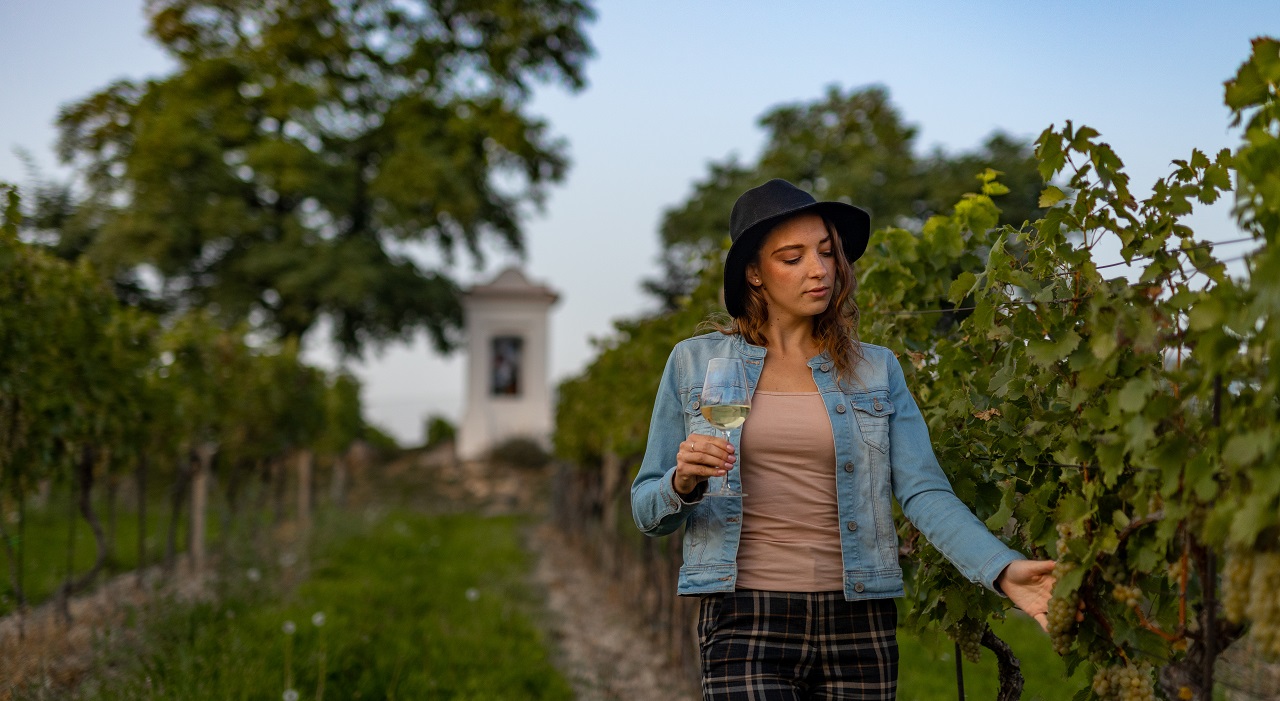Thumbnail voor Wijnparadijs Zuid-Moravië in Tsjechië