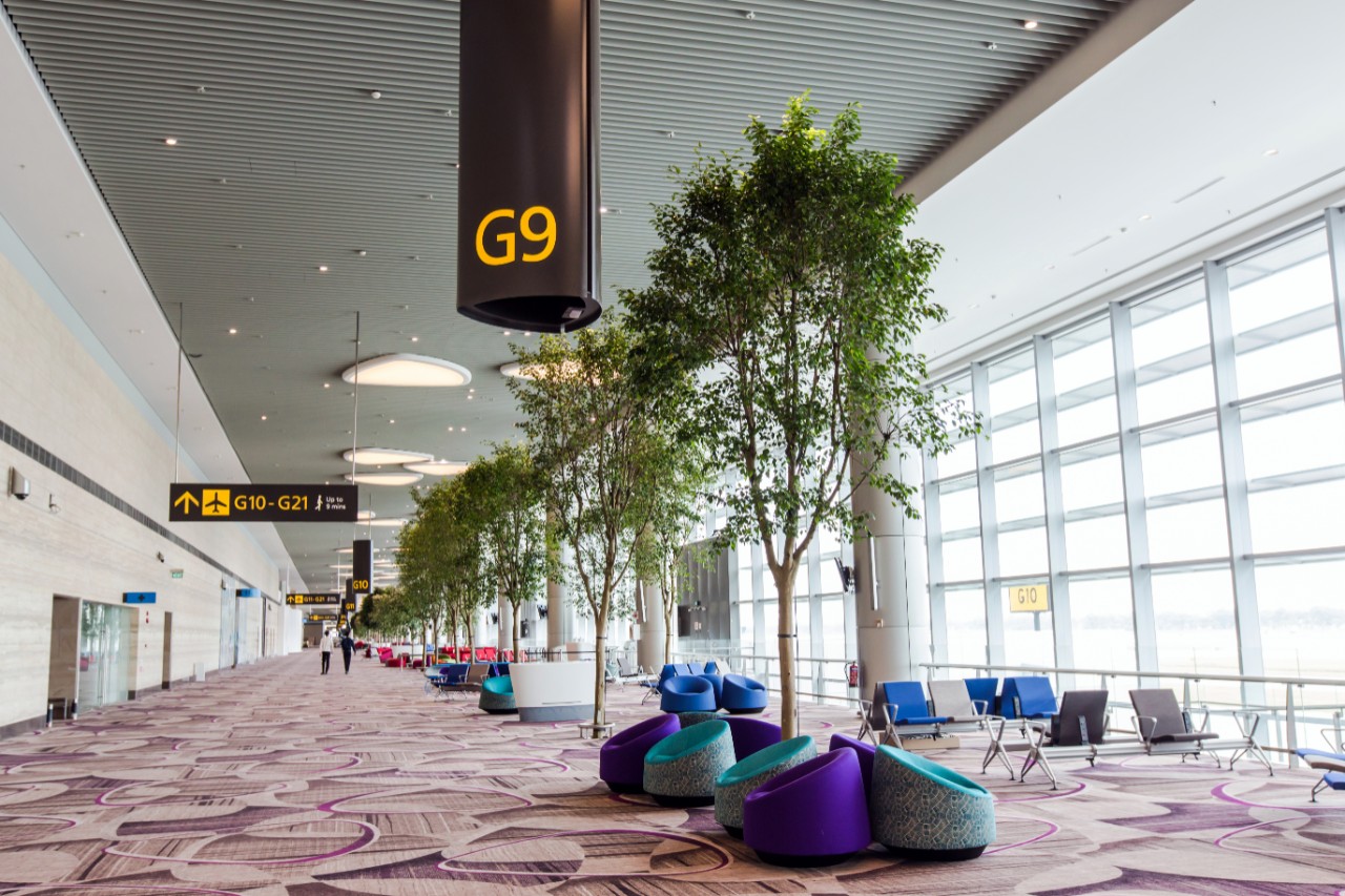 Thumbnail voor Singapore accepteert digitaal coronapaspoort IATA