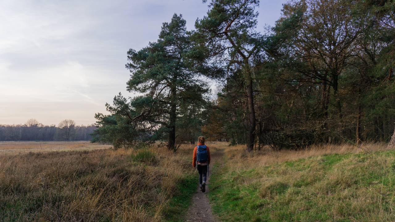 Thumbnail voor Nivon: unieke hike & night trektochten om compleet offline in de Nederlandse natuur te zijn