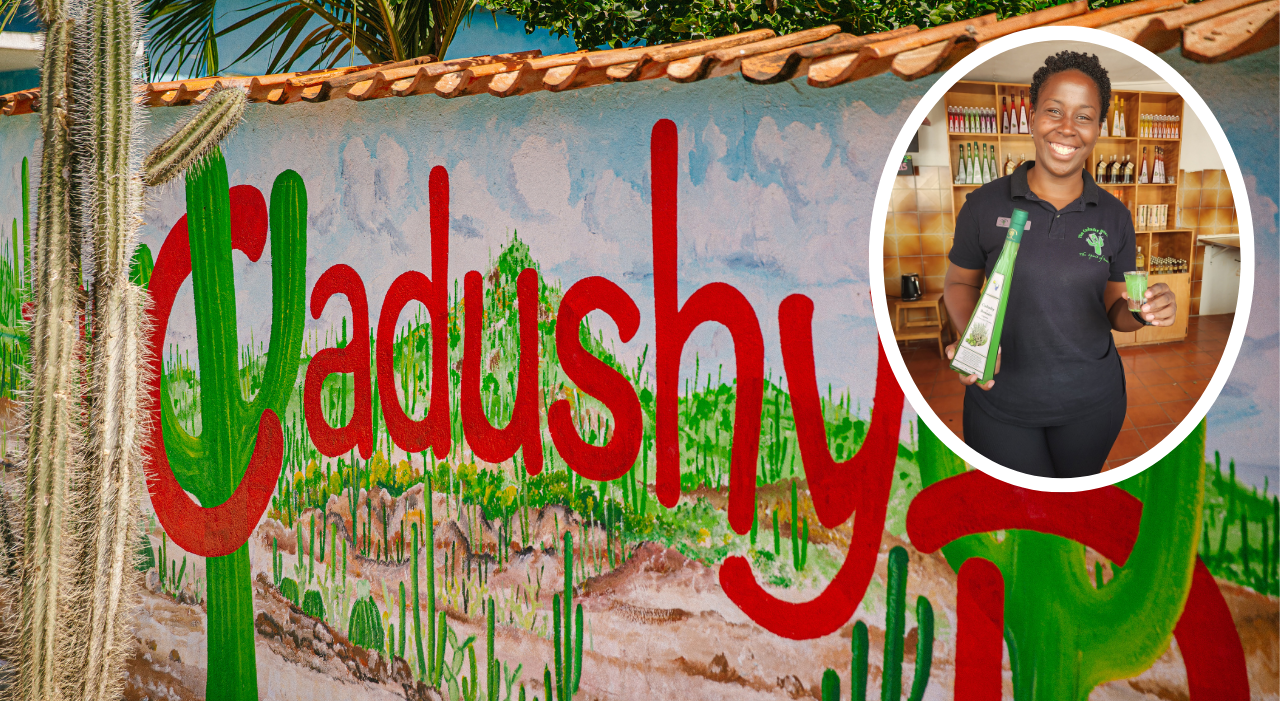 Thumbnail voor Van felgroene cactuslikeur tot ‘The Spirits of Bonaire’ bij The Cadushy Distillery