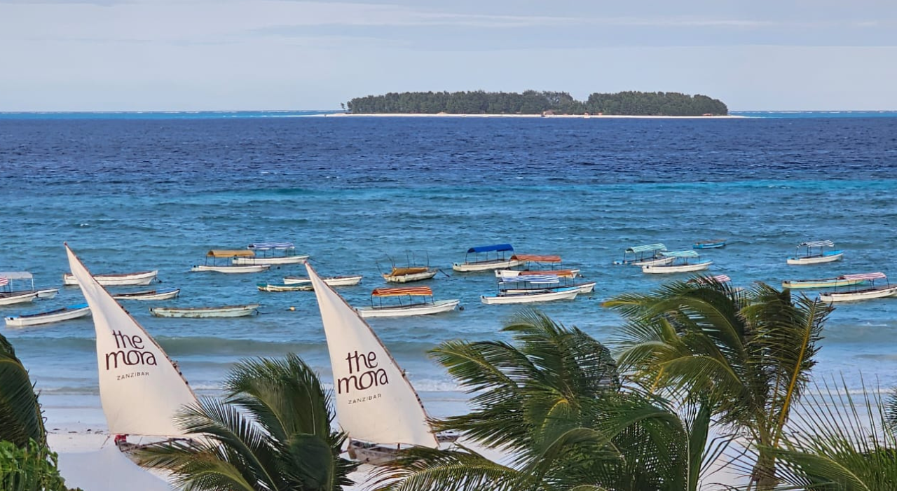Thumbnail voor TUI opent nieuw hotelconcept: The Mora Zanzibar