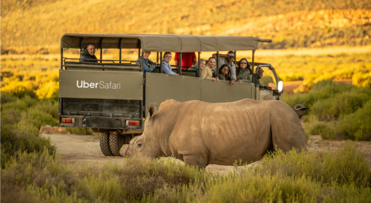 Thumbnail voor Uber lanceert Uber Safari: ‘Een goede mix van hedendaags comfort en ongerepte natuur’