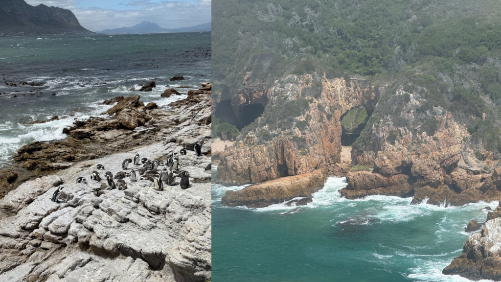 reisverslag Zuid-Afrika (c) Eric Vrijsen - 1280 (2)