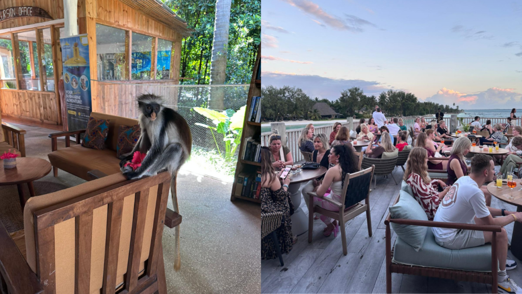 Aapjes bij een site inspection en de groep tijdens de TUI Zanzibar studiereis sunset apero 